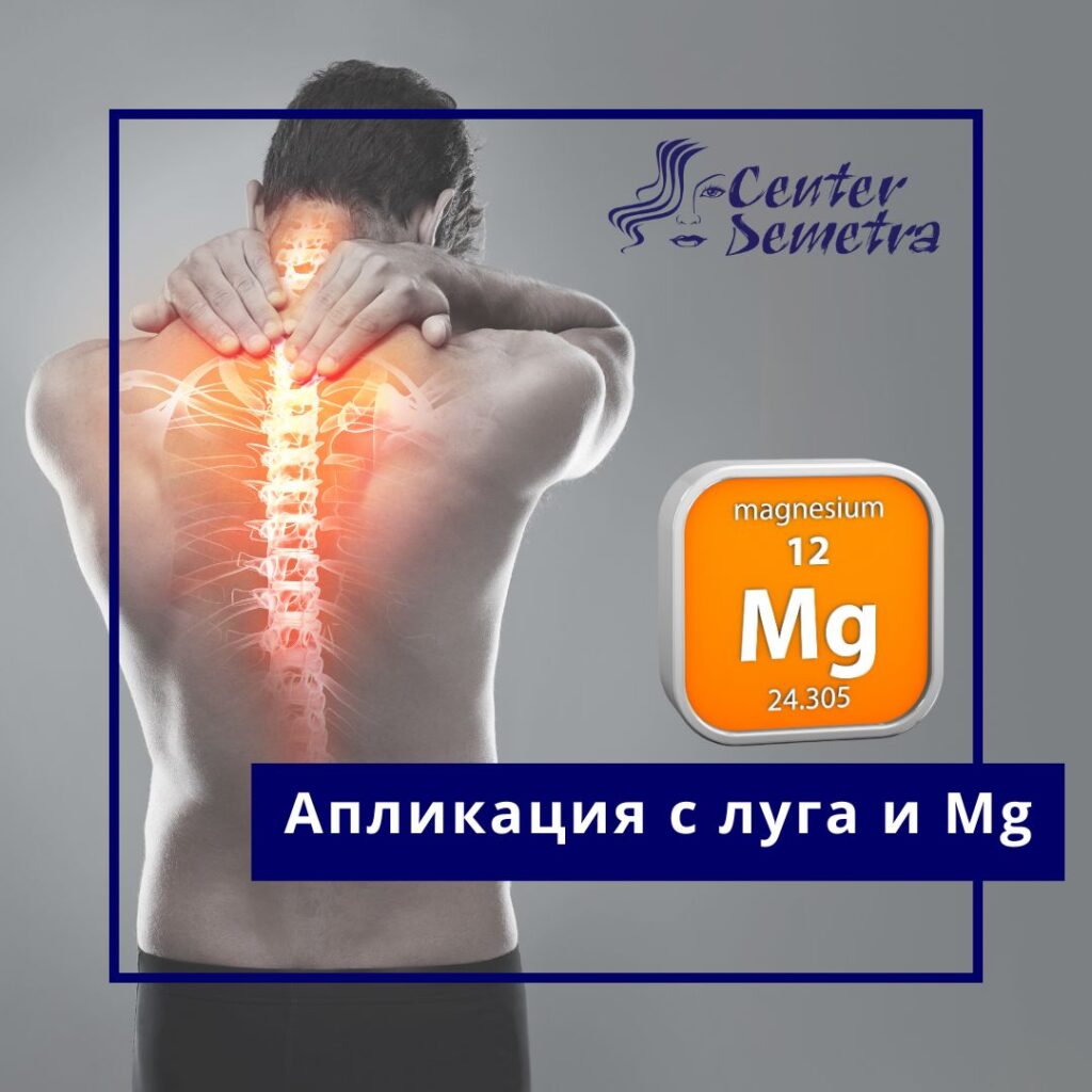 Апликация с Поморийска луга